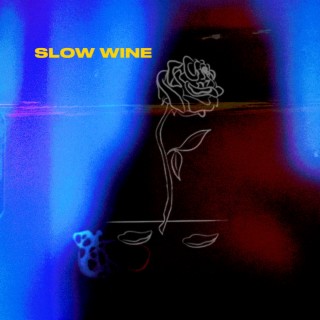 Slow Wine