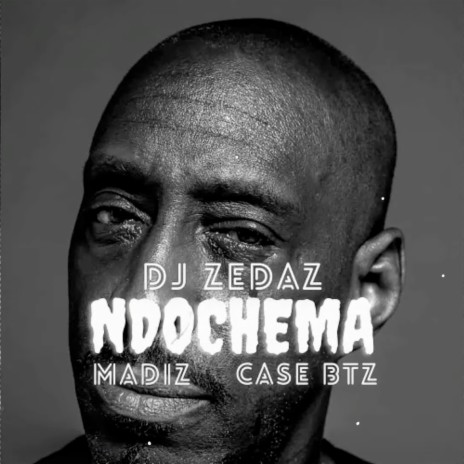 Ndochema (Radio Version) ft. Madiz & Case Btz | Boomplay Music