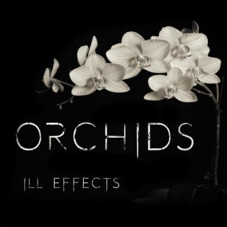 Orchids