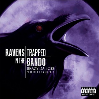 Ravens Trapped In The Bando