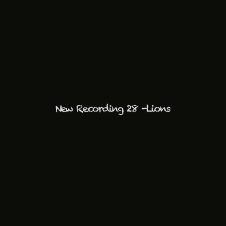 New Recording 28 -Lions
