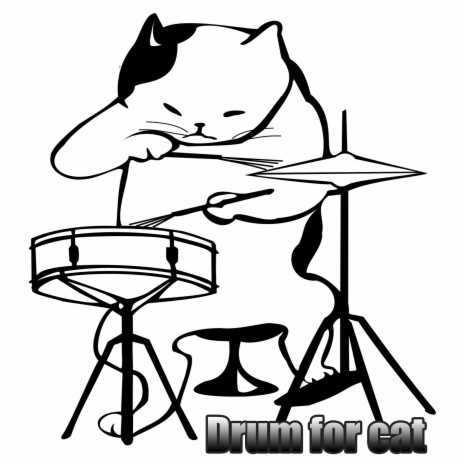 Drum for cat