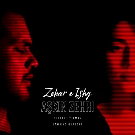 Zehar e Ishq (Aşkın Zehri) ft. Zulfiye Yılmaz | Boomplay Music