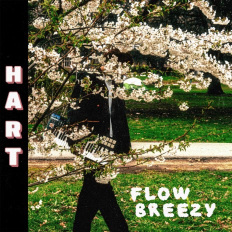 Flow Breezy | Boomplay Music