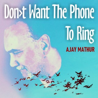 Don't Want The Phone To Ring (Radio Edit) lyrics | Boomplay Music