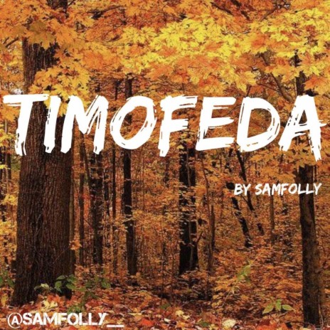 Timofeda | Boomplay Music
