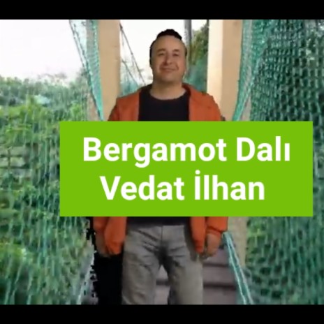 Bergamot Dalı | Boomplay Music