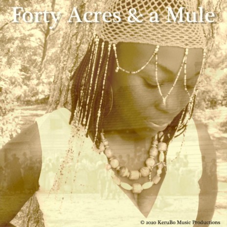 Forty Acres and a Mule | Boomplay Music