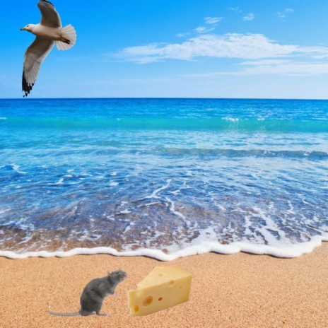 Cheese on the beach