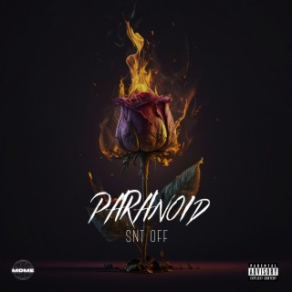 PARANOID lyrics | Boomplay Music