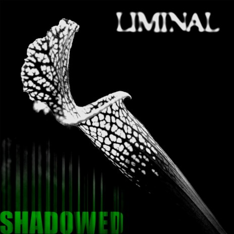 Shadowed (Remastered) | Boomplay Music