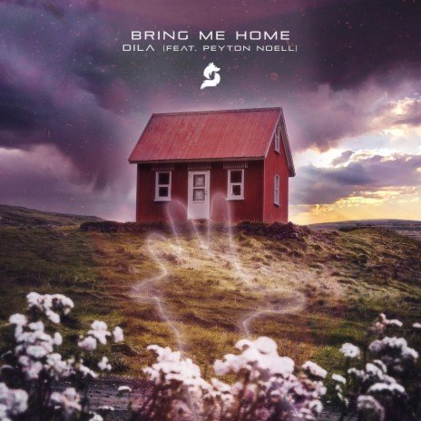 Bring Me Home ft. Peyton Noell | Boomplay Music