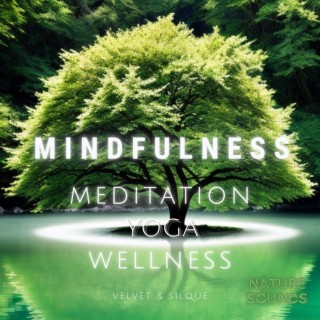 Mindfulness (Meditation Yoga Wellness With Nature Sounds New Age)