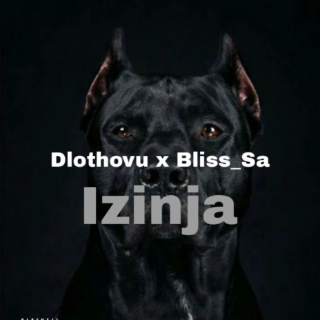 Izinja ft. Dlothovu | Boomplay Music