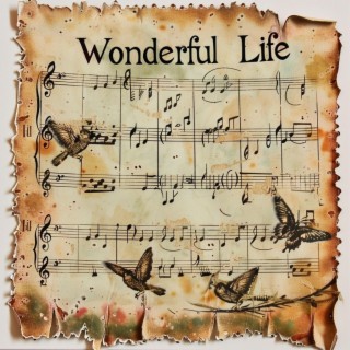 Wonderful Life