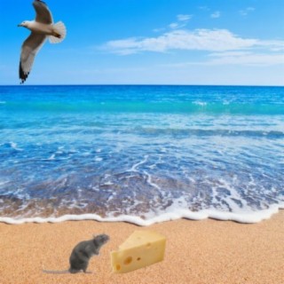 Cheesy Beach