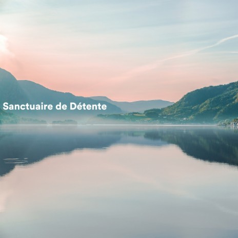 In the Air ft. Detente Spa Musique Collection & Bouddha Musique Sanctuaire | Boomplay Music