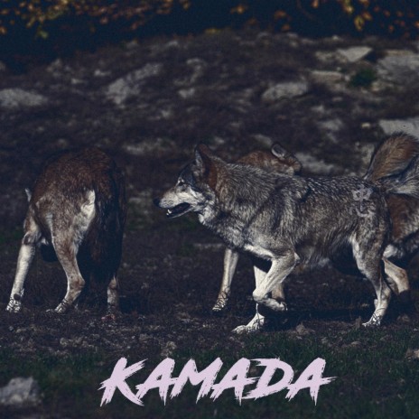KAMADA | Boomplay Music