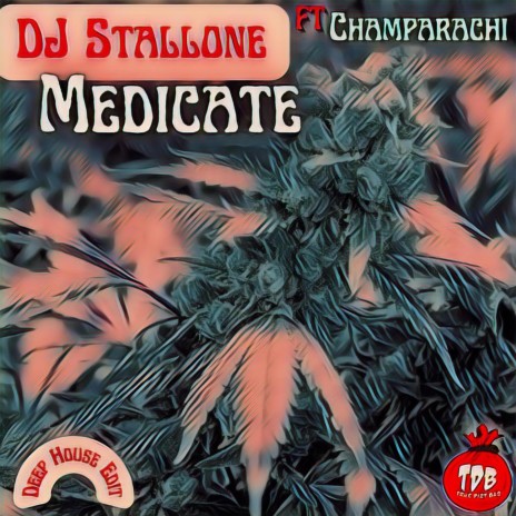 Medicate (Stallone Remix Deep House Edit) ft. Stallone | Boomplay Music