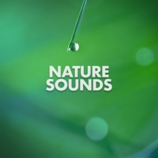 Nature Sounds