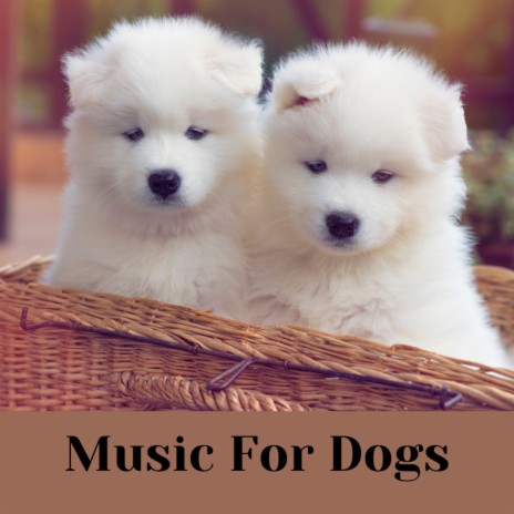 Bark Ballad ft. Music For Dogs Peace, Calm Pets Music Academy & Relaxing Puppy Music | Boomplay Music