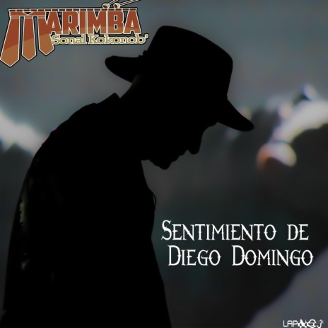 Sentimiento de Diego Domingo | Boomplay Music