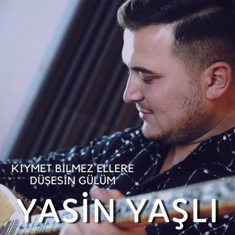 Yiğidin Bindiği Arap Atıdır | Boomplay Music