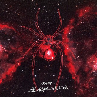 Black Widow ft. SEEINRETRO lyrics | Boomplay Music