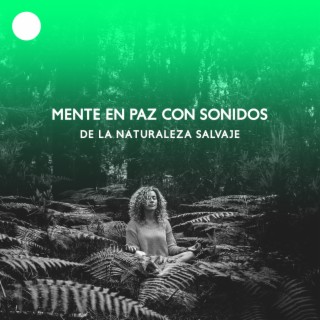 Mente en Paz con Sonidos de la Naturaleza Salvaje, Música de Meditación para la Relajación Total