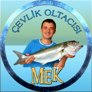 Çevlik Oltacısı Mek