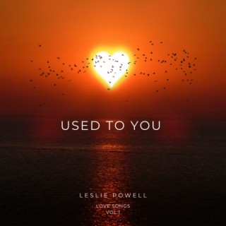 Used To You