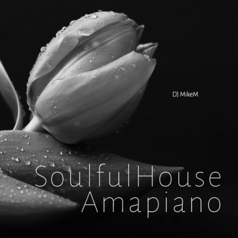 Soulful House Amapiano | Boomplay Music