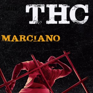 THC VOL ONE