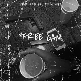 FREE CAM