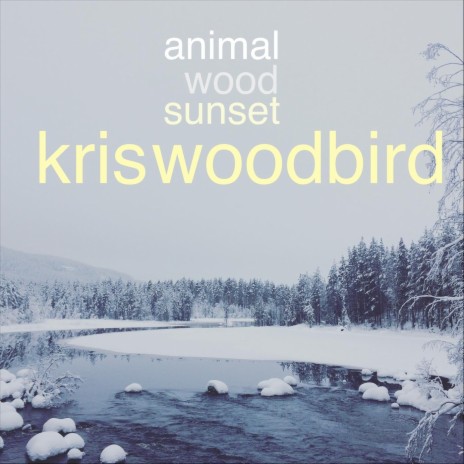 Animal, Wood, Sunset | Boomplay Music