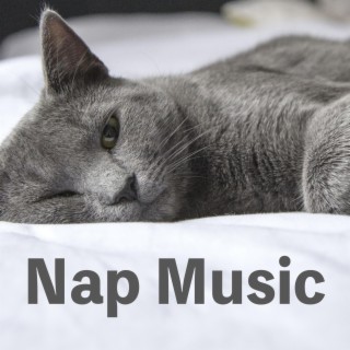 Nap Music