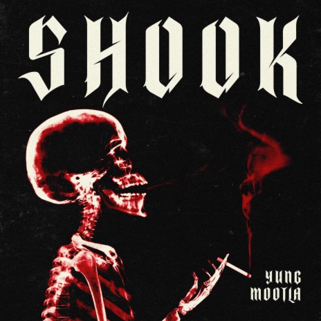 Shook | Boomplay Music