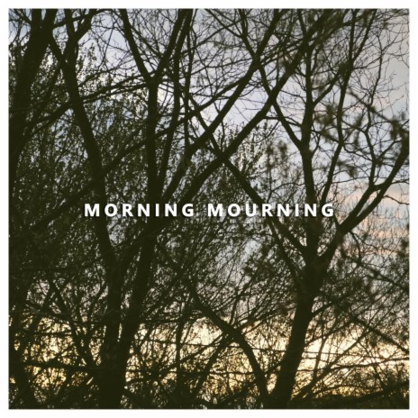 Morning Mourning | Boomplay Music