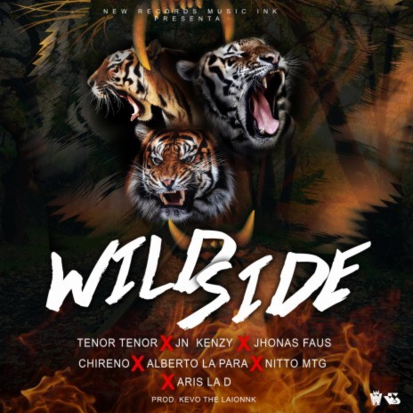 Wild Side (AllStar) ft. Alberto La Para, Nitto MTG, Chireno, Aris La D & Jn Kenzy
