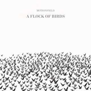 A Flock Of Birds