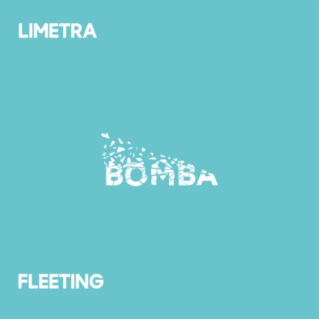 Fleeting | Boomplay Music