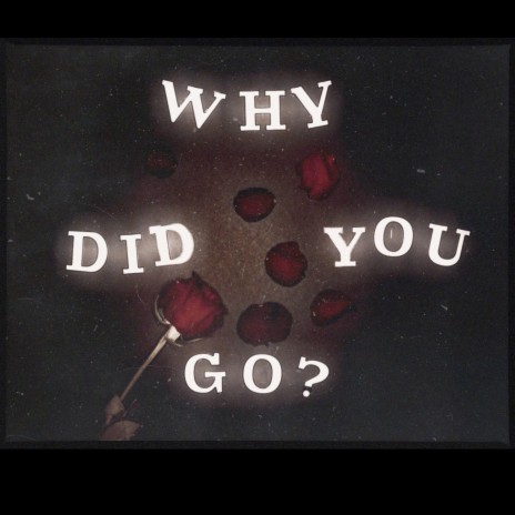 Why Did You Go? (Acoustic Version)