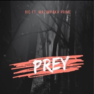 Prey