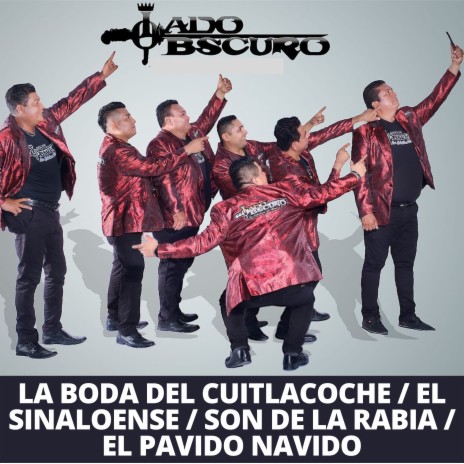 La Boda del Cuitlacoche / El Sinaloense / Son de la Rabia / El Pavido Navido | Boomplay Music