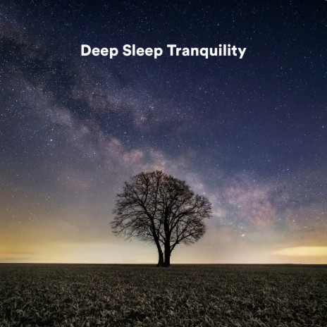 In the Air ft. Tranquility Spree & Deep Sleep Music Experience