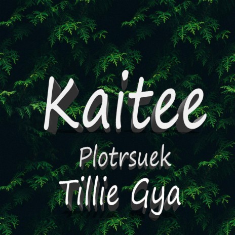 Kaitee (feat. PlotrsuekK) | Boomplay Music
