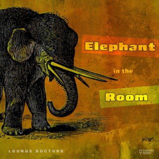 Elephant In The Room lyrics | Boomplay Music