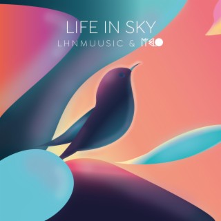 Life in sky