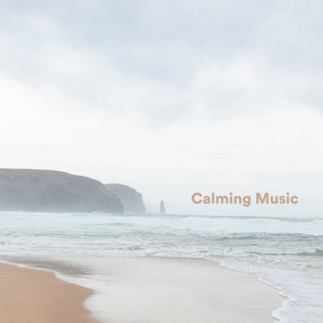 Deep Meditation Flute ft. Stress Relief Helper & #Calmante | Boomplay Music