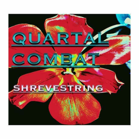 Quartal Combat | Boomplay Music